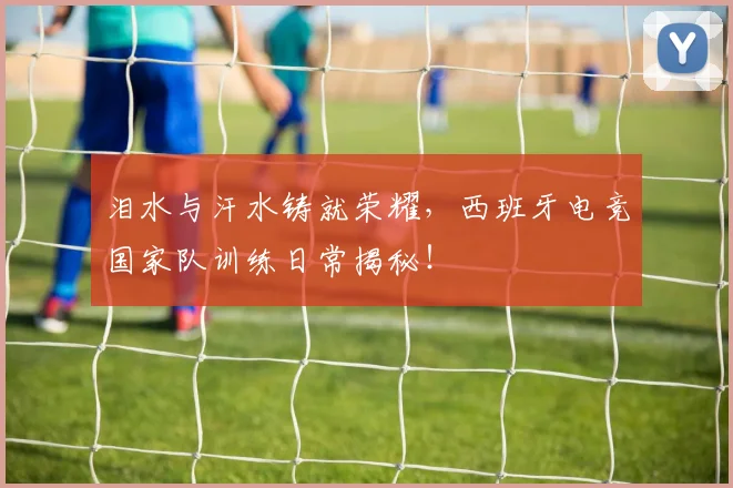 泪水与汗水铸就荣耀，西班牙电竞国家队训练日常揭秘！